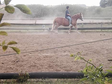 Frederiksborg Lise - DØD d. 27 april 07 - Her er vi lige ude og få lidt motion.. billede 4