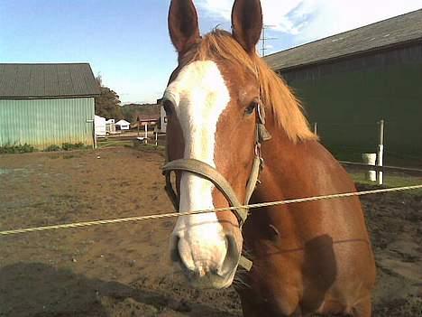 Frederiksborg Lise - DØD d. 27 april 07 - Er jeg ikke bare sød? billede 8