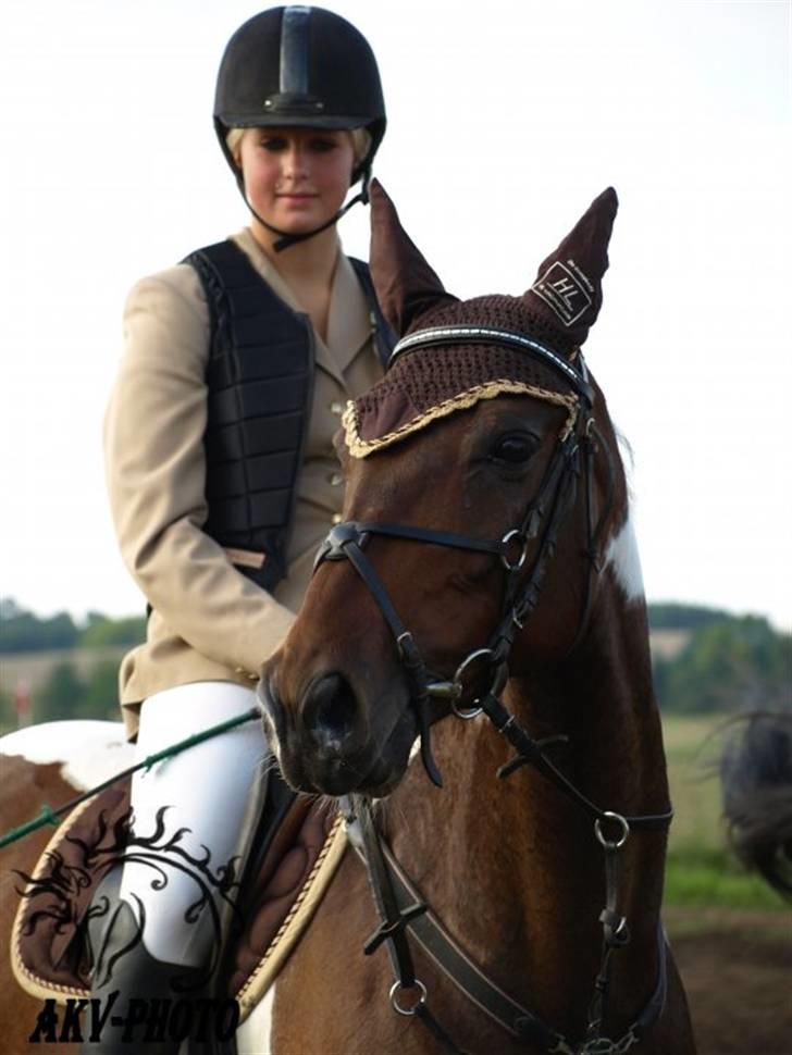 Pinto My Promise - 5# Har fået lov til at bruge billedet! billede 5