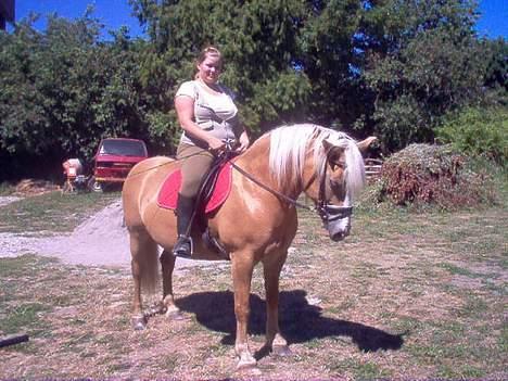 Haflinger Eliza R.I.P - du savnet ! - Såå Fin kan Vi Være . . :)  billede 4