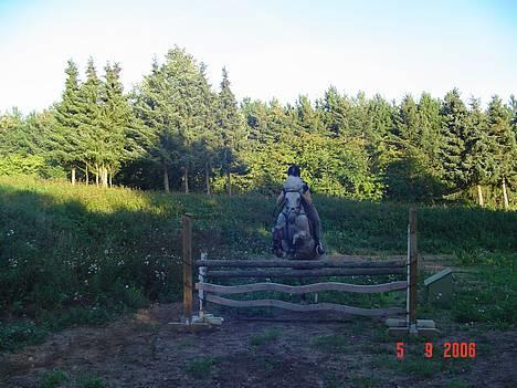 Anden særlig race IL TEMPO GIGANTE solgt billede 9
