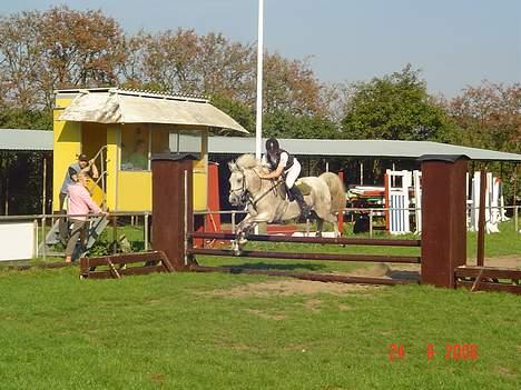 Anden særlig race IL TEMPO GIGANTE solgt billede 10