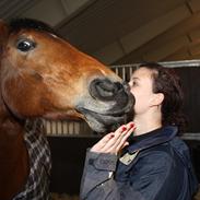 Anden særlig race Diana