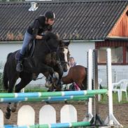 Anden særlig race Oliver<3<3<3
