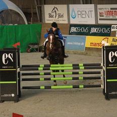 Zangersheide Elco Du Buisson Z