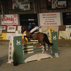 Zangersheide Elco Du Buisson Z