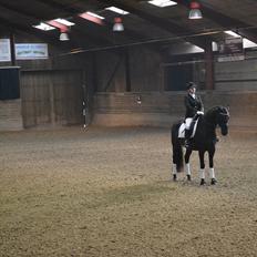 Anden særlig race IVER