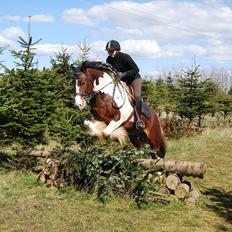 Tinker SATIN'S ROYAL CON QUEST