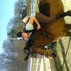 Anden særlig race Pheasant´s Quincy