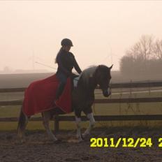 Pinto Søholt's Teepee"Goodbye my savior"