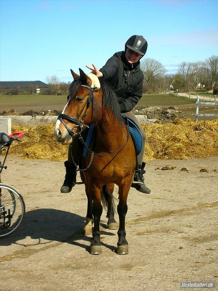 Anden særlig race Benjamin  <3 (savnet :'( <3 ) - kan kun sige JEG ELSKER DIG!!!<3<3
foto: LDH tak :* billede 3