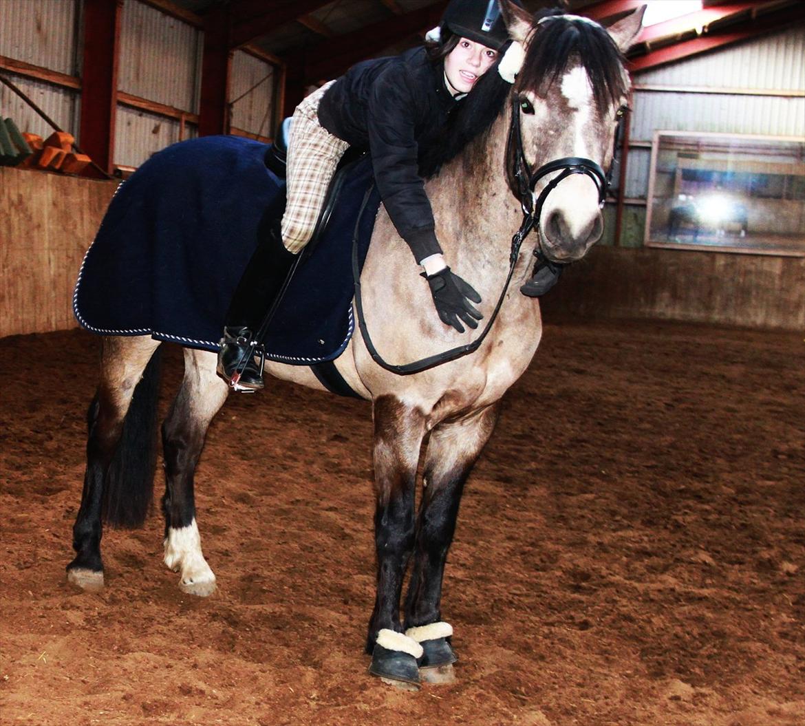 Connemara Ac-Seje Charlie af Engvang *..Bassemand..* - Hvis jeg var en and, og du var vand, ville jeg aldrig svømme i land <33
Foto: Maria billede 13