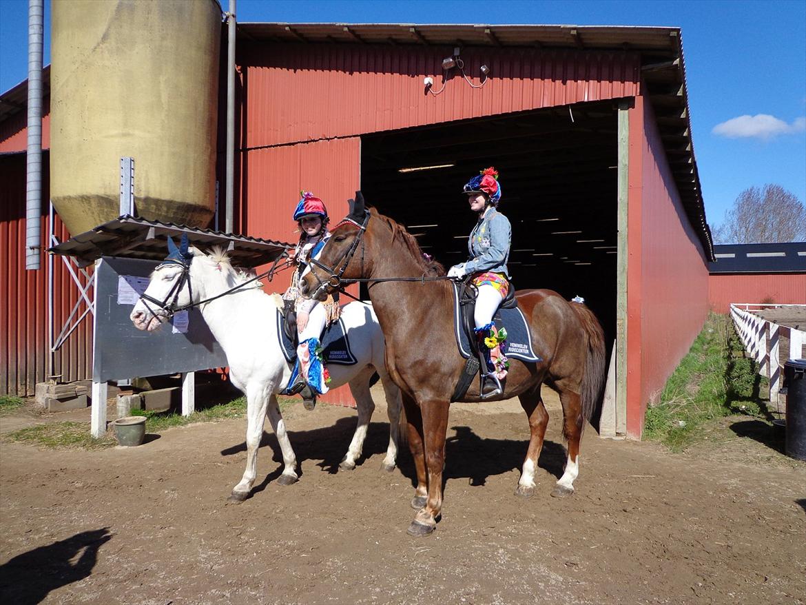 Anden særlig race Aksel<3 billede 7