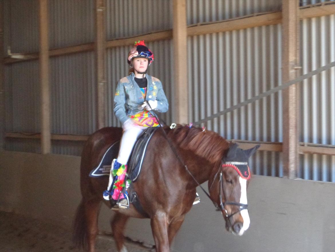 Anden særlig race Aksel<3 billede 8