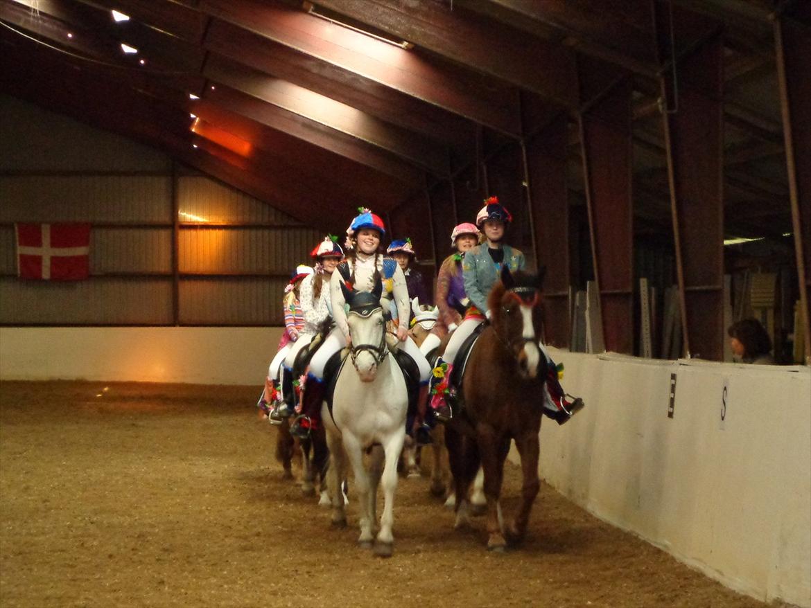 Anden særlig race Aksel<3 - Kvadrille holdet<3 billede 9