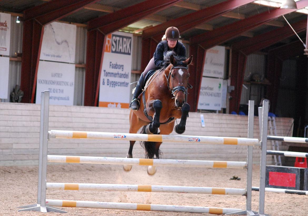 Oldenborg Cornelia - April 2012 billede 18