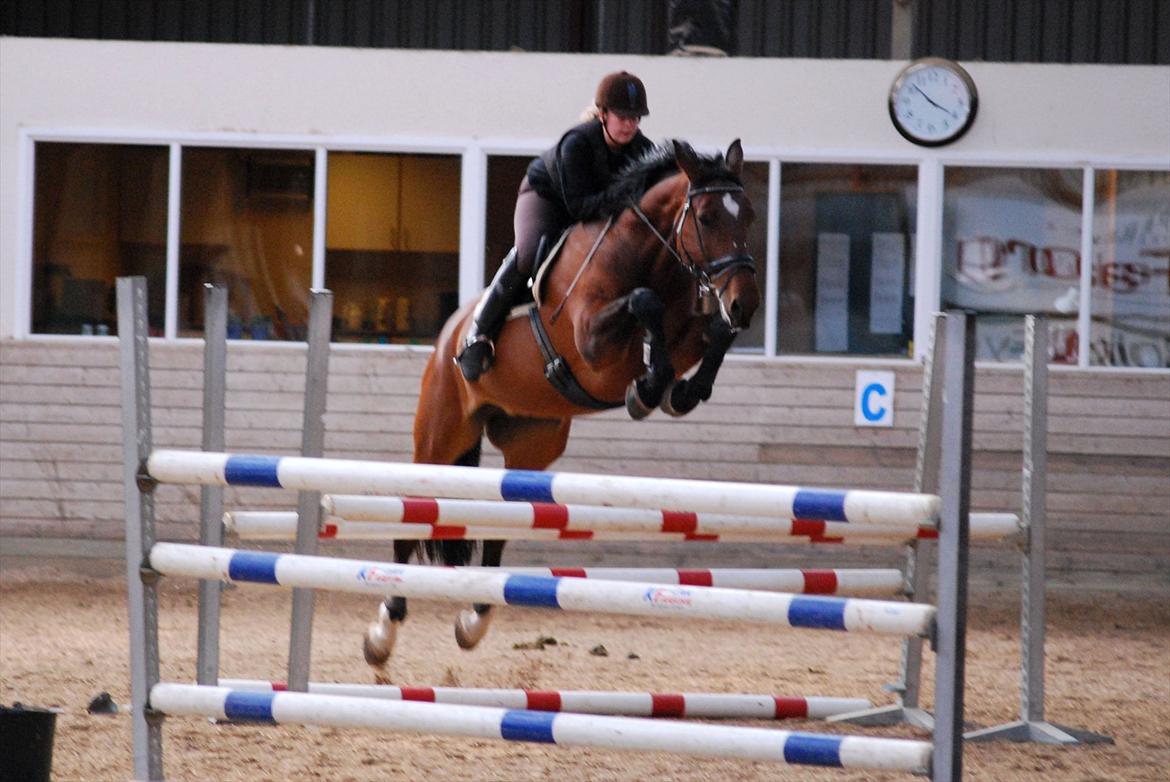 Oldenborg Cornelia - April 2012 billede 19