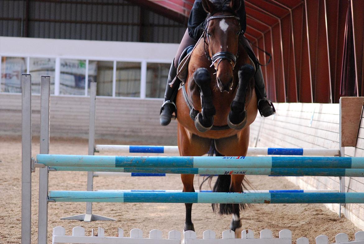 Oldenborg Cornelia - April 2012 billede 20