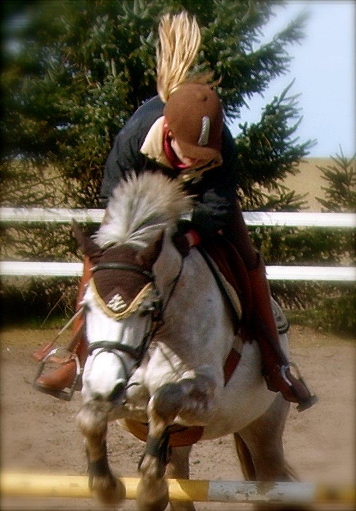 Connemara Canella - Canella og hendes ejer Line :) billede 20