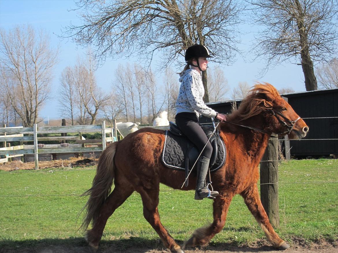 Islænder Leiknir fra Ærø - Elsker dig:-* billede 2