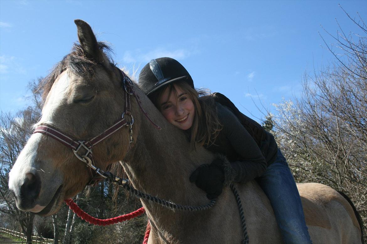 Welsh Partbred (Sec F) Tivall -  Lidt bidløs ridning 7. april billede 9