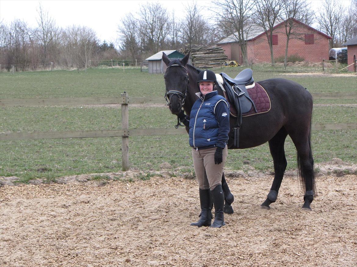 Dansk Varmblod Bomgårdens Black Pearl - Så stolt af min nye hest ;) billede 14