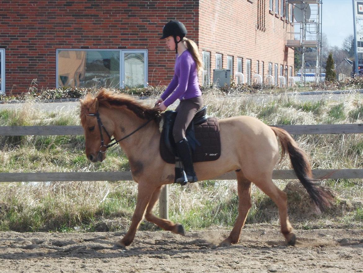 Anden særlig race Lucas <3 - Dressur træning!<3
Super god træning med samt en god pony!<3 billede 19