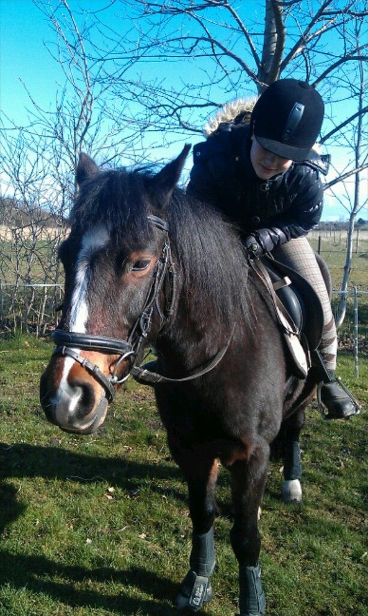 Anden særlig race Pluto - 8/4-12 billede 5