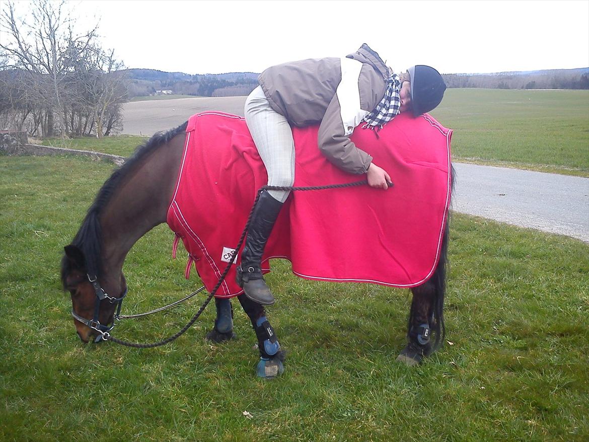 Anden særlig race Fighter (solgt) ;/ - Bedste venner for evigt <3
Foto: Mor billede 4