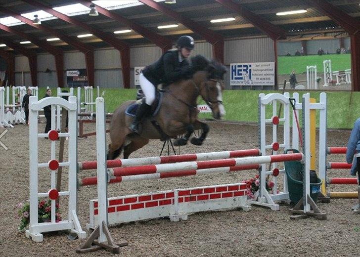 Anden særlig race Cappagh Unique - Una og jeg på slangerup i LA** d. 7 april 2012 billede 15