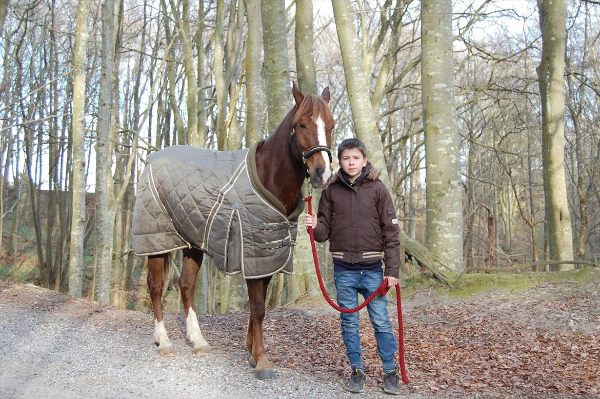 New Forest Kantje's Bardoes - På skovtur billede 16