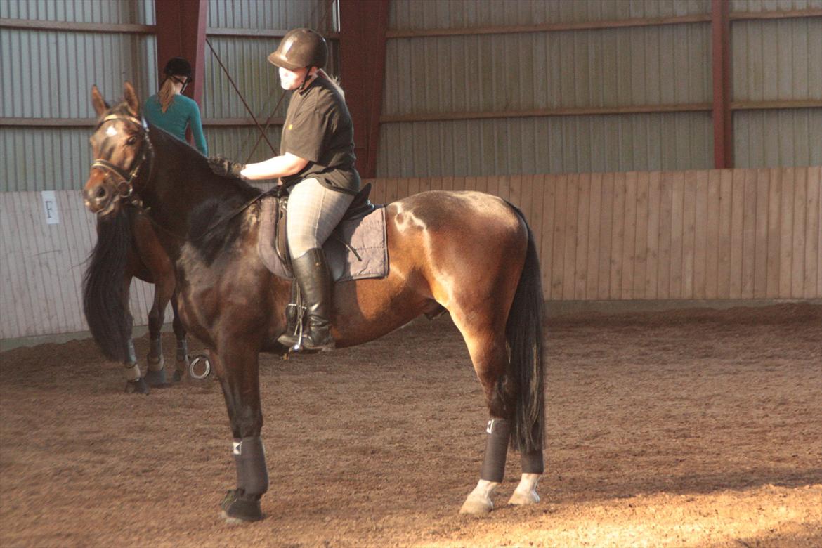 Oldenborg Quikstep af Østerholm  billede 8