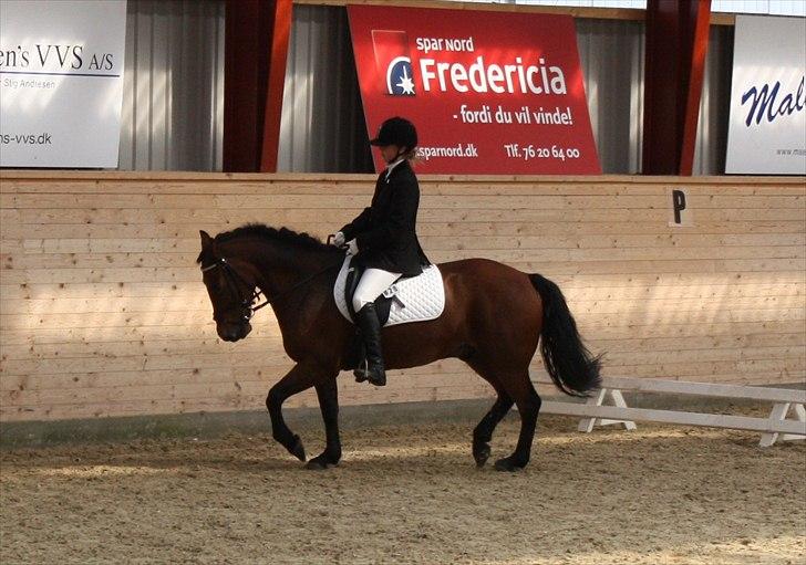 Anden særlig race Charley - <3 Foto Sofie billede 15