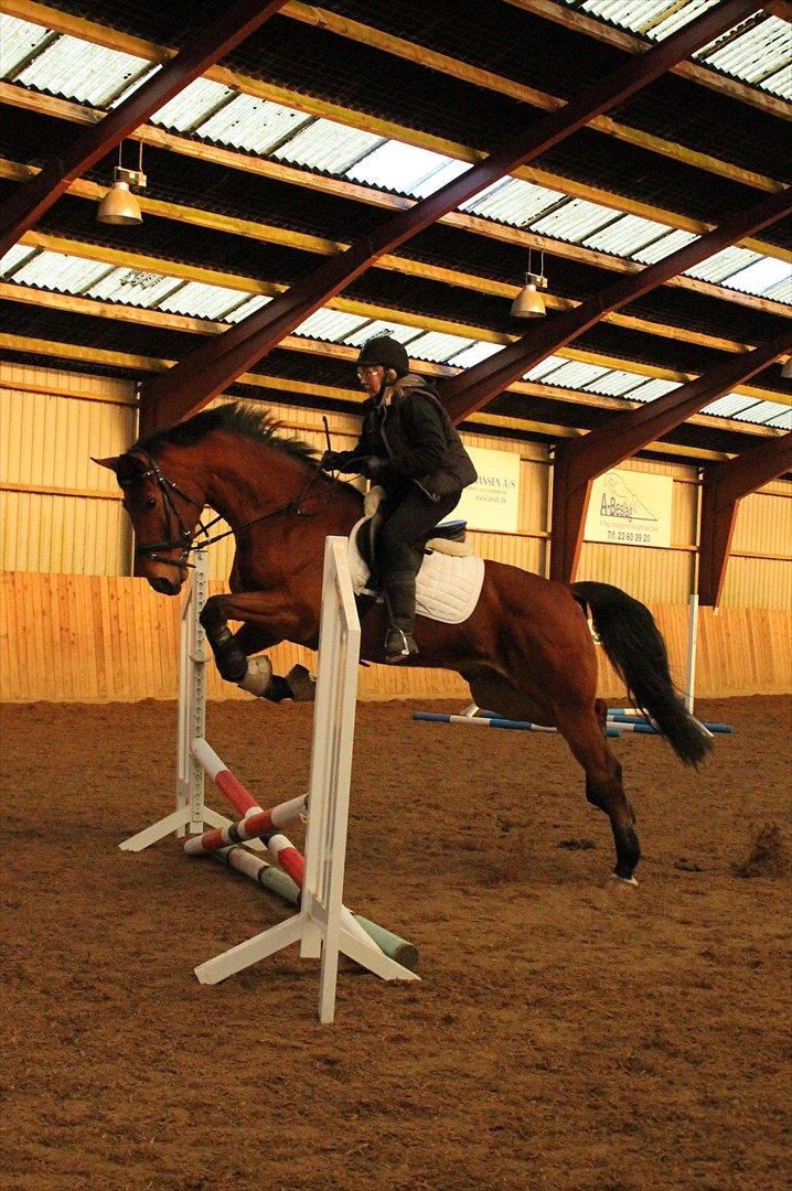 Holstener Life Star - Life og min mor.  billede 16