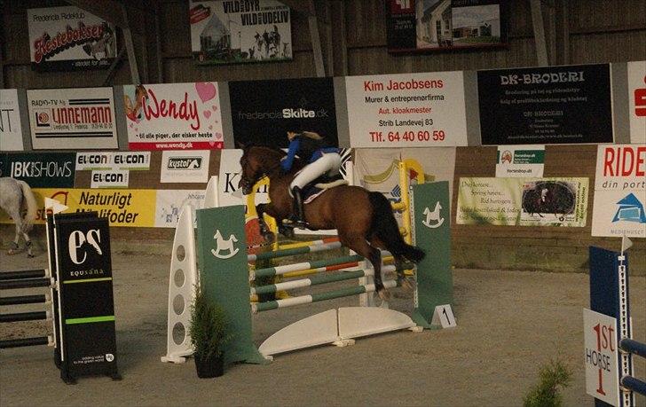 Zangersheide Elco Du Buisson Z - LA**/ MB* eller Youngster 135 cm. 
Til DM indendøres, Fredericia Rideklub. billede 3