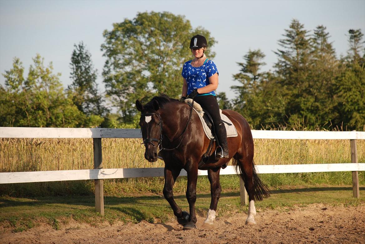 Oldenborg Maverick Mit et og alt!! :-* <3 - Man kan se hvad mennesket har skabt gennem et vindue i en bil, men det gud har skabt skal ses fra hesteryg. billede 5