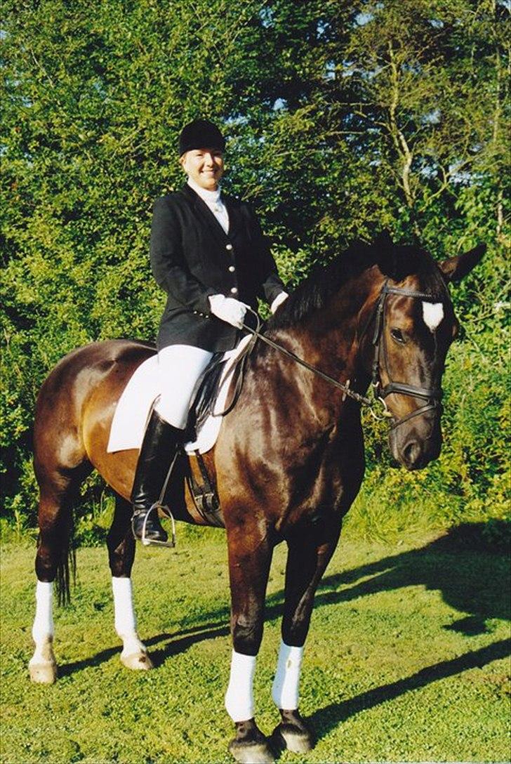 Oldenborg Maverick Mit et og alt!! :-* <3 - Ridning er simpelt... det er bare ikke let! billede 13