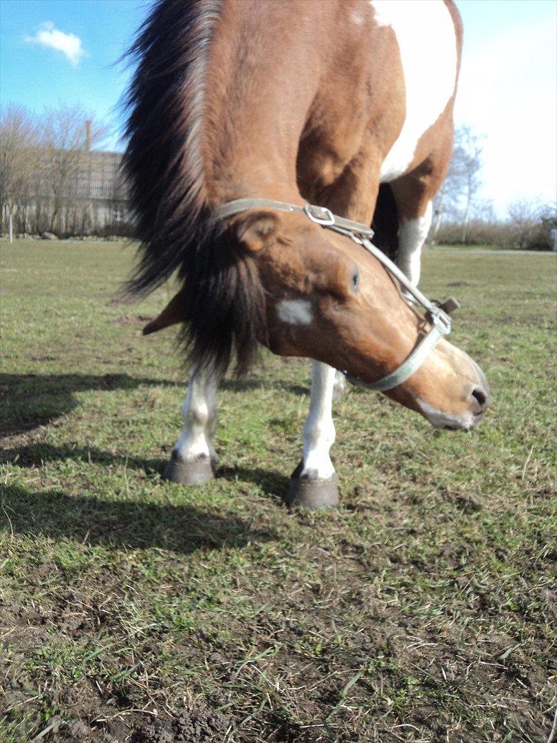 Pinto Graffiti - 11.

Nej jeg vil ikke ind(-; billede 11