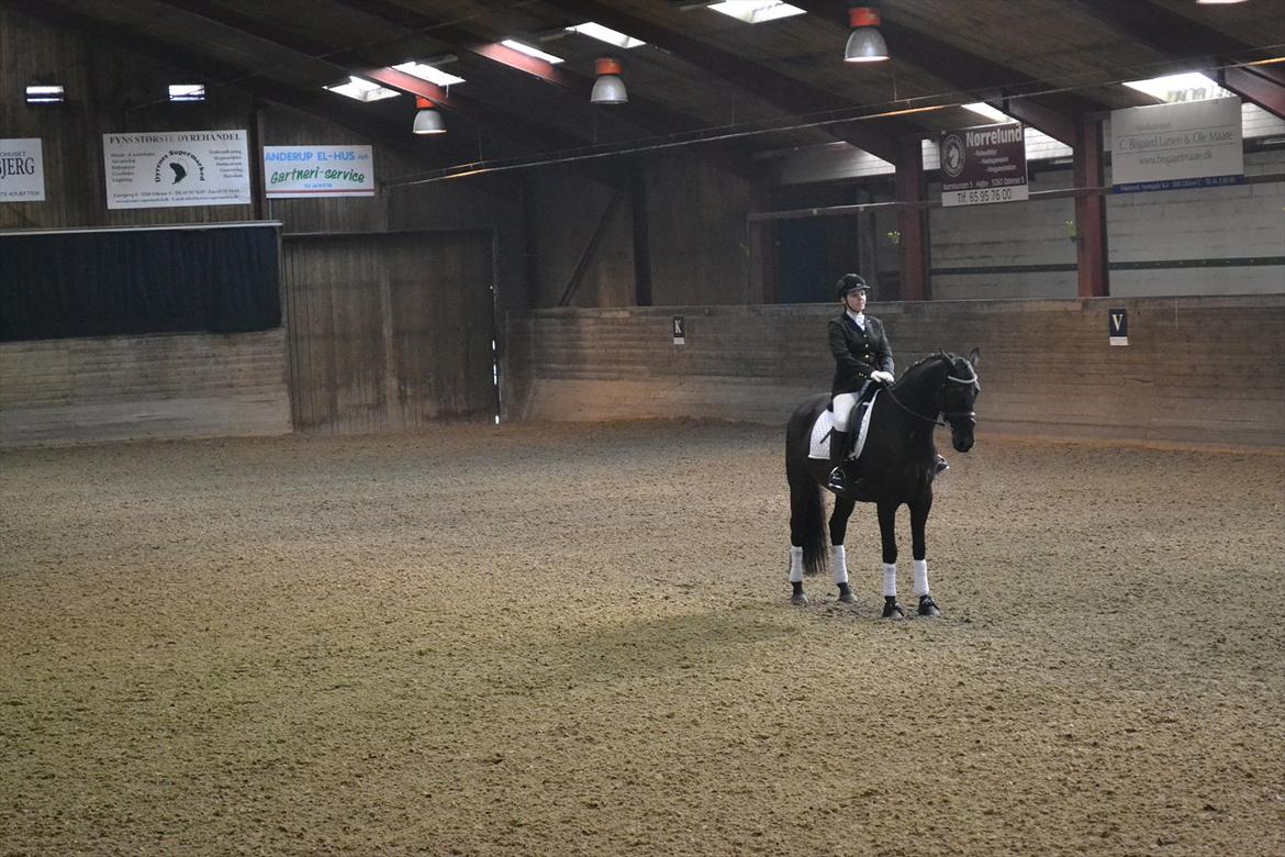 Anden særlig race IVER - Indridningsparade LA3, 17. marts 2012. billede 2