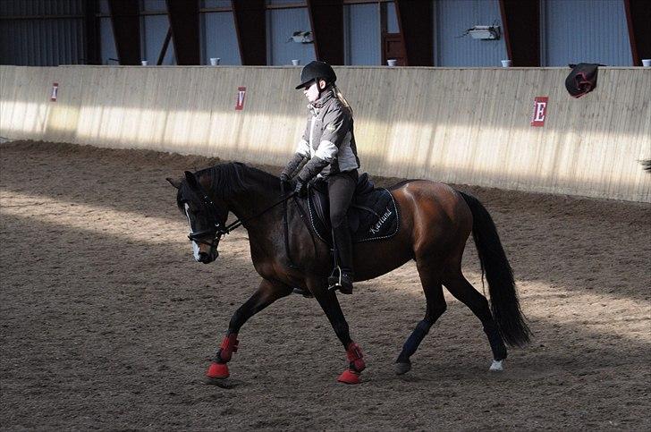 DSP ATINA KÆRLUND ***  A- PONY** billede 8