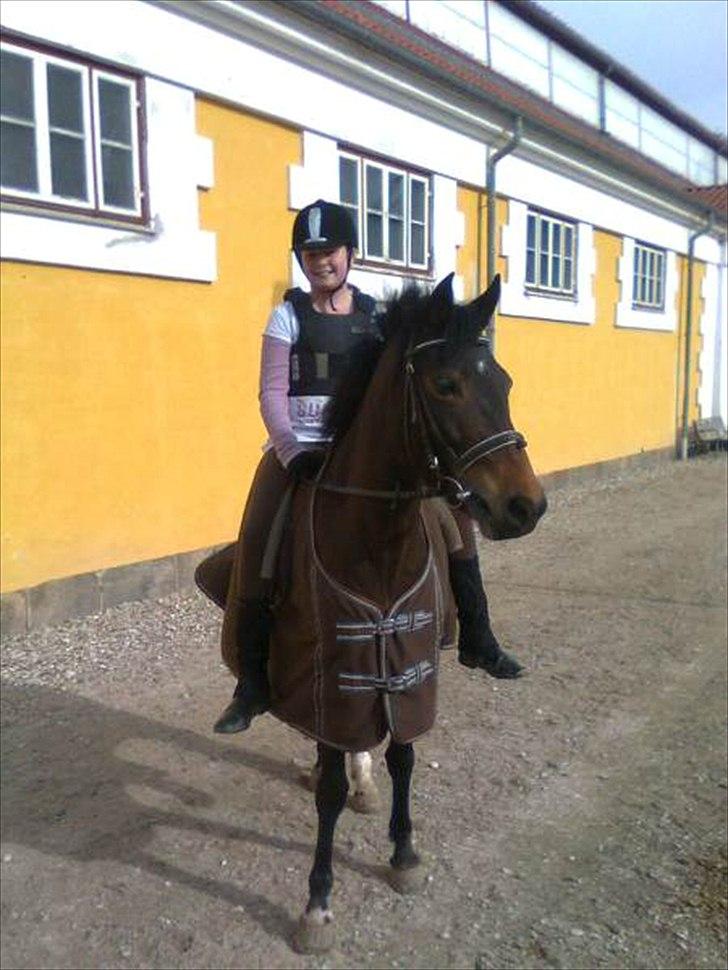 Anden særlig race Pheasant´s Quincy - Du har det da dejlig varmt med skridttæppe på billede 6