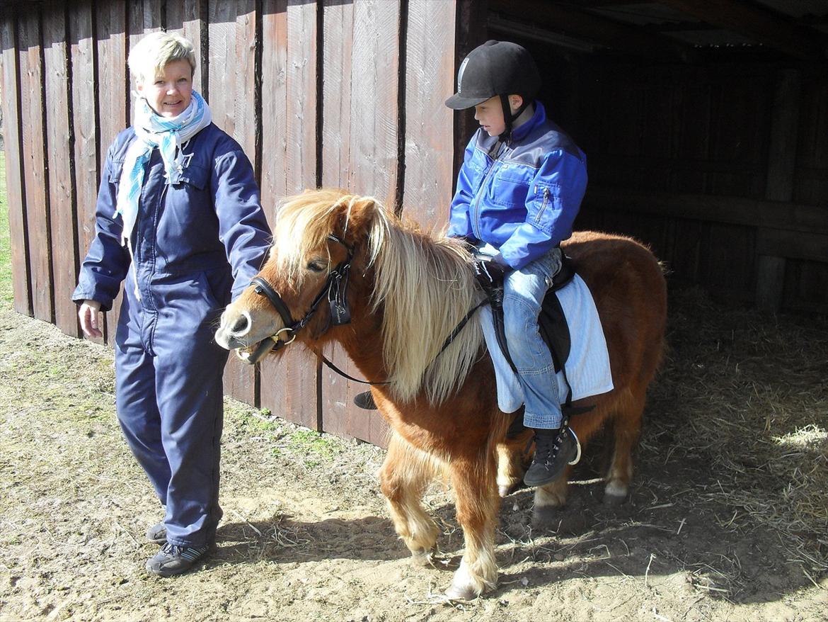 Anden særlig race Misty (min lillebror's) billede 4