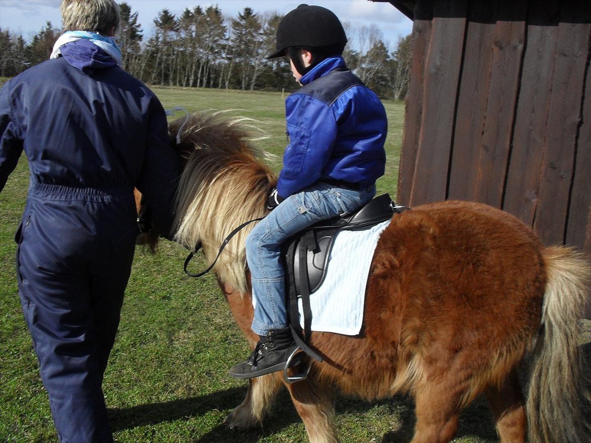Anden særlig race Misty (min lillebror's) billede 6