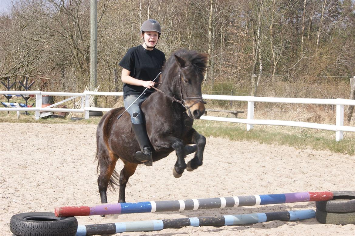 Anden særlig race Mille - Kom bare i en stille trav så troede bare hun ville trave stille og roligt over som hun plejer, men næ nej DEN SKULLE SPRINGES!:-D. billede 4
