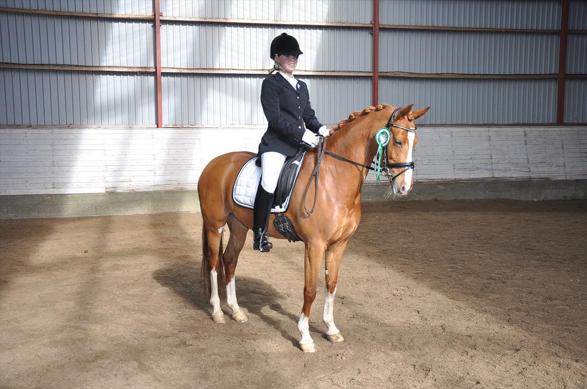 Tysk Sportspony Gee Gee 2 B-pony - Gee Gee 6. stævne og første distrikts stævne og så B-pony i første forsøg <3 billede 8