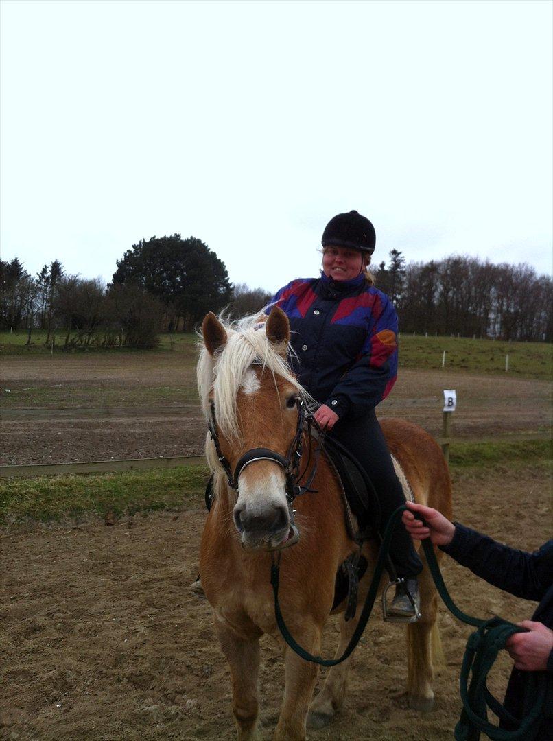 Haflinger Absalon Gasse - første gang jeg sider på Absalon billede 5