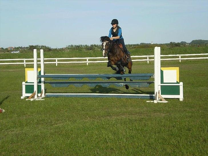 Anden særlig race Mr. Malibou billede 3