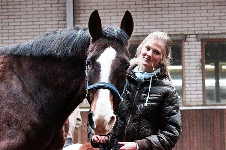 Dansk Varmblod Royal Back - Smil :-) 
Søde dreng. billede 12