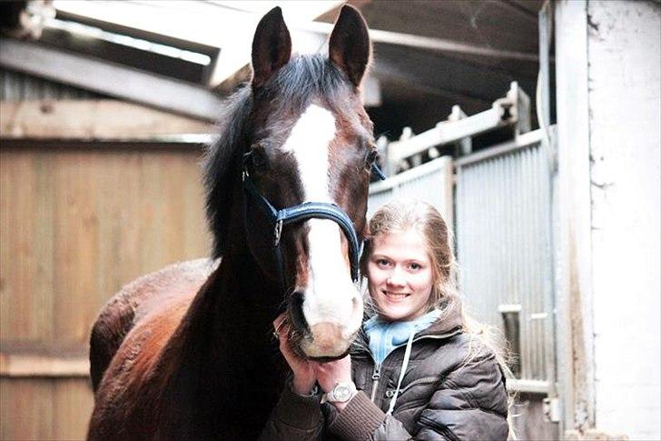 Dansk Varmblod Royal Back - Mig og ham den store<3 billede 15