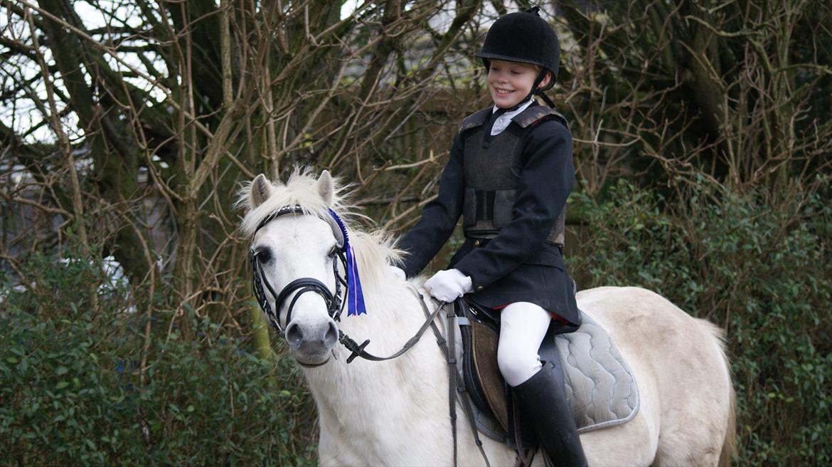 Welsh Pony (sec B)  l »Balou« billede 12